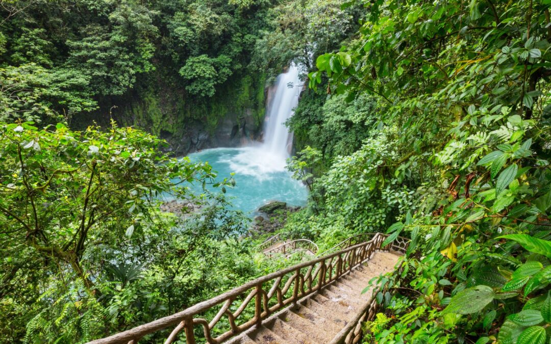 Kreuzfahrt Ausflüge Costa Rica Landausflüge