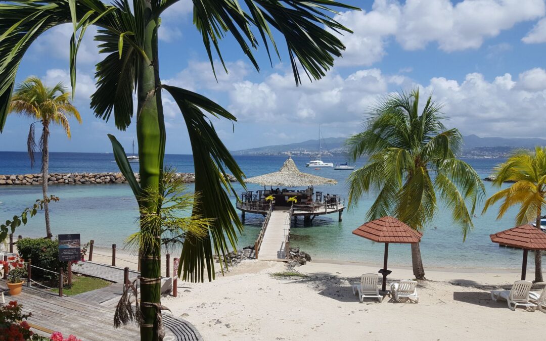 Kreuzfahrt Ausflüge Martinique Landausflüge