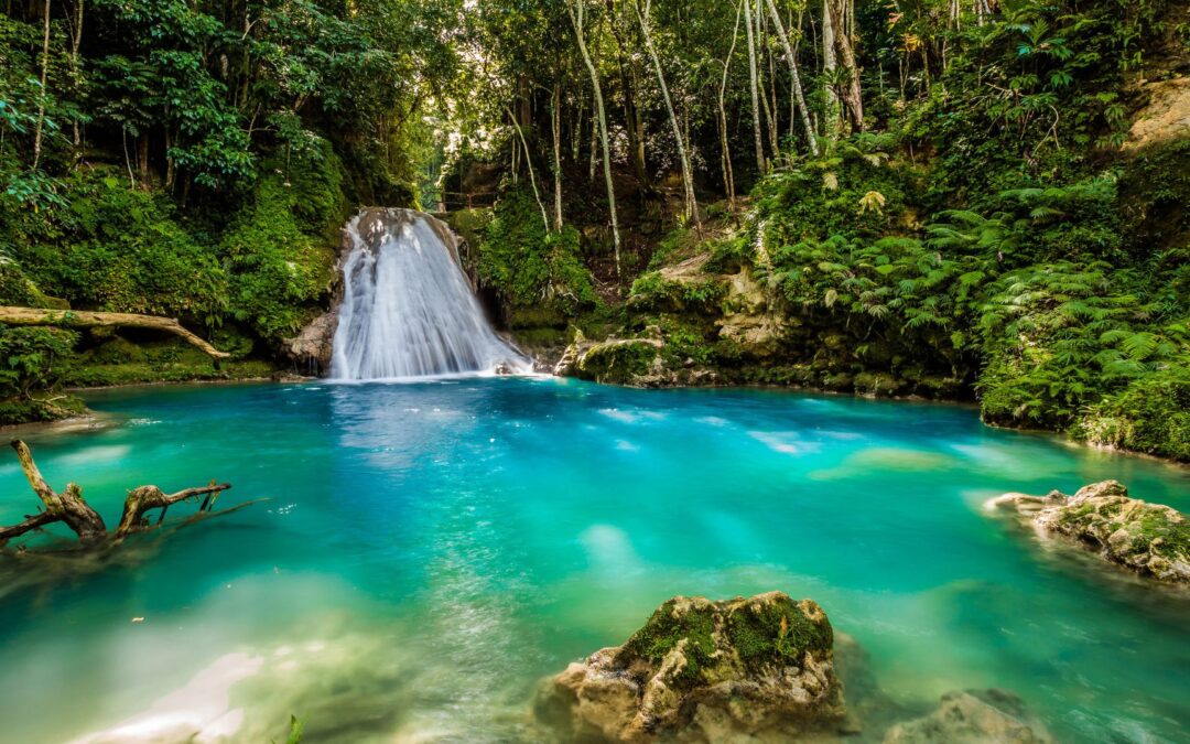 Kreuzfahrt Ausflüge Ocho Rios Landausflüge