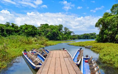 Colon (Panama)