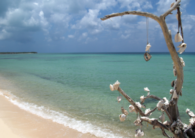 Cozumel Ausflüge