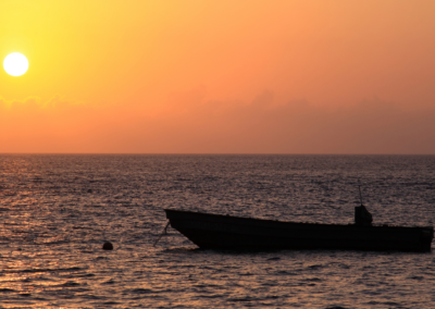 Cozumel Ausflüge