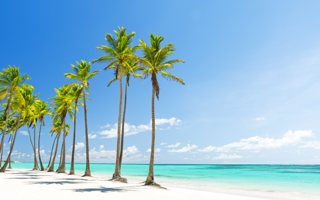 Dominikanische Republik: Traumurlaub unter Palmen